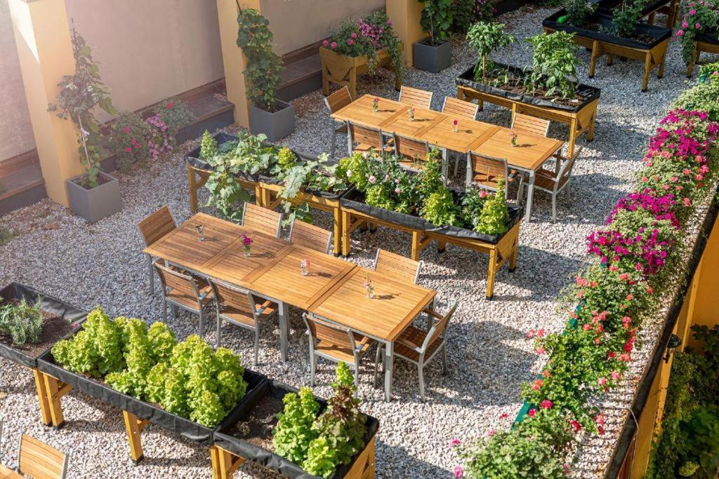 Augarten Apartments Wina Bagian luar foto